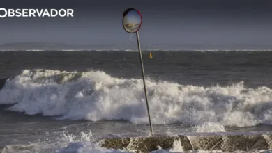 Praia de Santo Amaro de Oeiras reaberta após forte poluição
