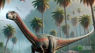Primeiro dinossauro da Antártida é identificado a partir de fóssil esquecido por quatro décadas