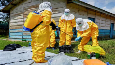 RDC aponta para 515 casos de ébola