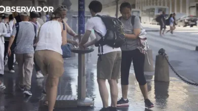 Semana de calor começa com oito concelhos em perigo máximo