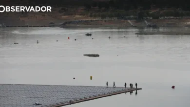 Solar flutuante. Painéis solares podem trocar água por terra