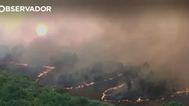 Temperaturas de 43°C e risco máximo de incêndio no interior