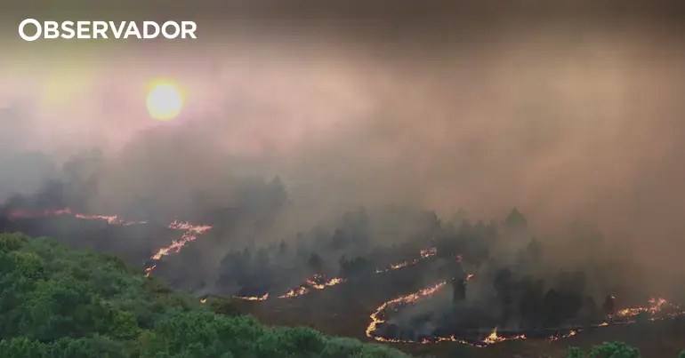 Temperaturas de 43°C e risco máximo de incêndio no interior
