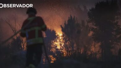Trás-os-Montes devolveram ferramenta para mitigação de fogos