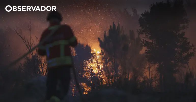 Trás-os-Montes devolveram ferramenta para mitigação de fogos