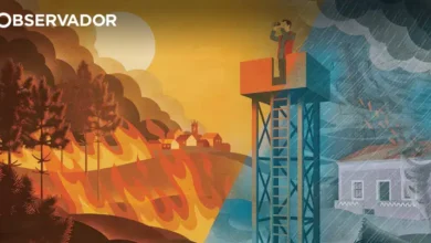 Um verão com mais fogos? Ou um inverno com mais tempestades?