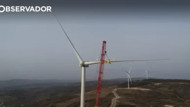 Zero denuncia atraso na entrega de plano energético à CE