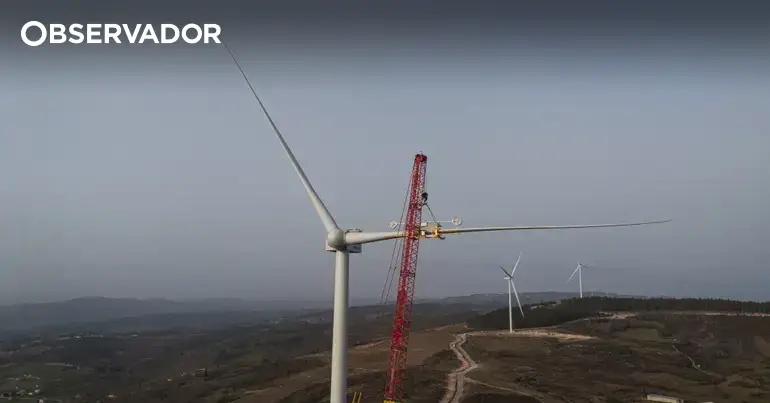 Zero denuncia atraso na entrega de plano energético à CE
