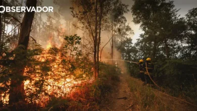 1.200 operacionais ainda combatem o incêndio em Vouzela