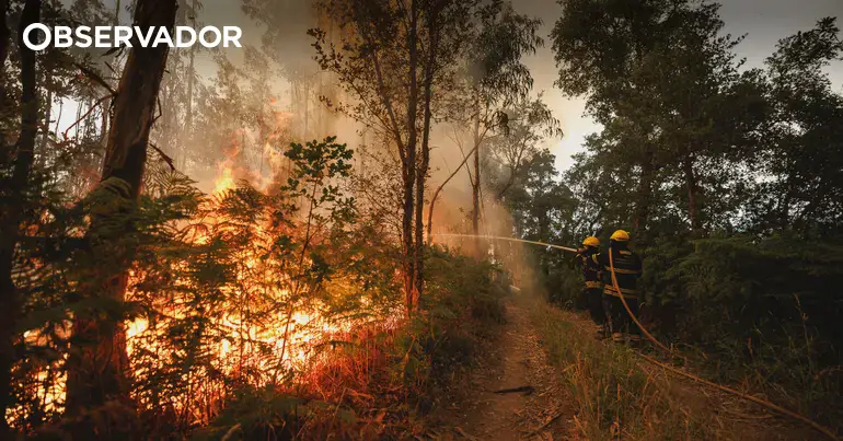 1.200 operacionais ainda combatem o incêndio em Vouzela