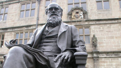 A evolução pode ser mais complexa do que Darwin imaginava