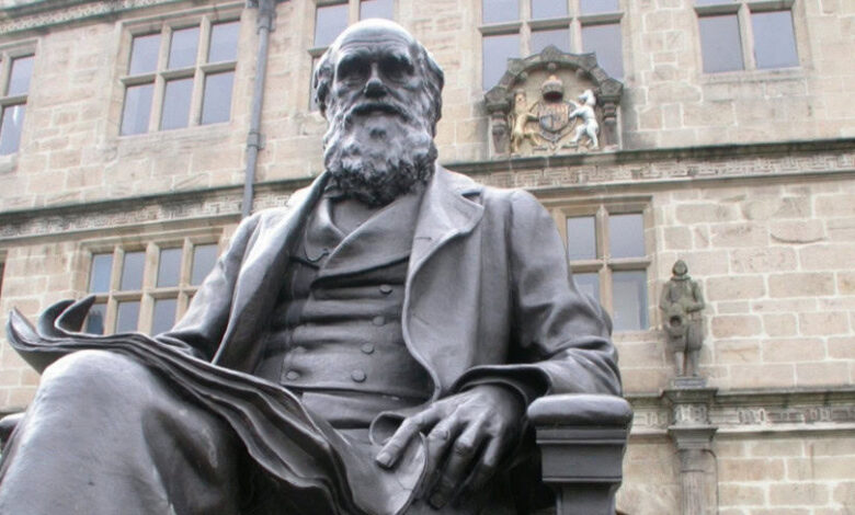 A evolução pode ser mais complexa do que Darwin imaginava