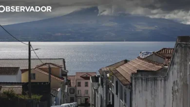 Açores: nova medida apoia conversão de contratos de trabalho