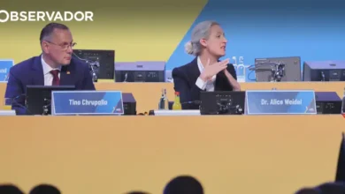 AfD reelege liderança a poucos meses das regionais