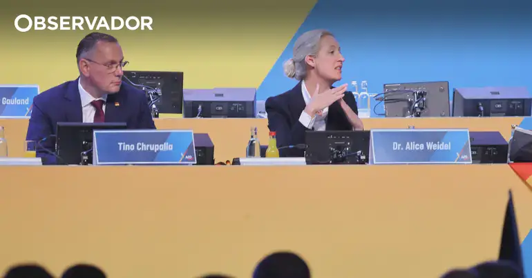AfD reelege liderança a poucos meses das regionais