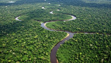 Amazônia: cientistas descobrem emissões de metano muito acima do previsto