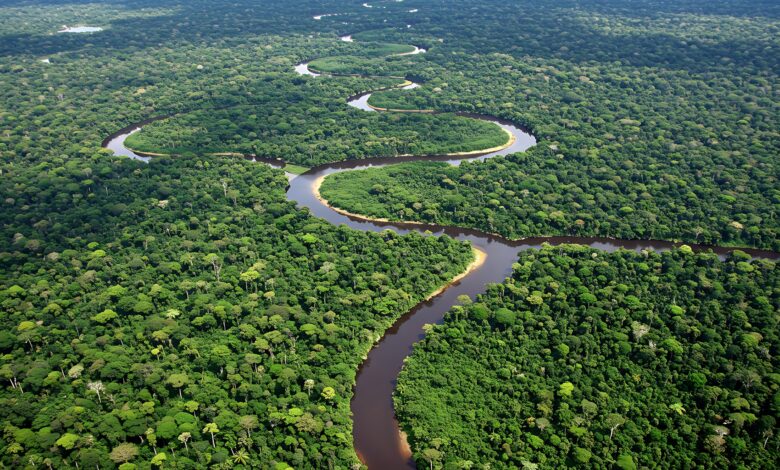 Amazônia: cientistas descobrem emissões de metano muito acima do previsto