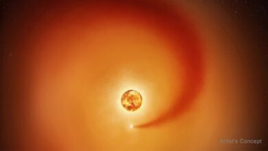 Após 100 anos, cientistas revelam segredo escondido de Betelgeuse