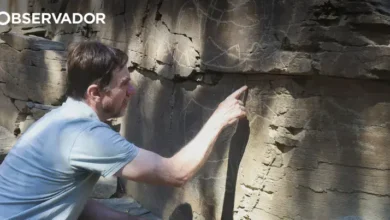 Arqueólogos descobrem novas gravuras no Vale do Côa