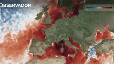 Atlântico e Mediterrâneo também estão em onda de calor