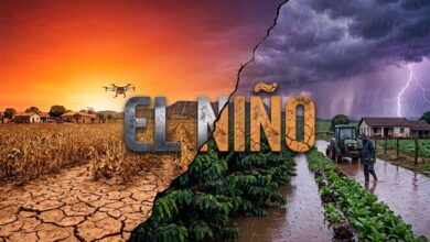“Bloquear” o Sol pode diminuir a intensidade do calor trazido pelo El Niño