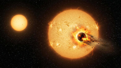 Brasileiros identificam estrelas devoradoras de planetas com nova técnica