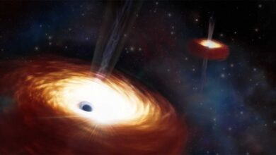 Buracos negros supermassivos: como se formam os maiores monstros do Universo?