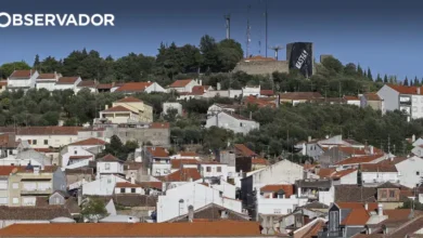 Castelo Branco pretende receber Grande Área Empresarial