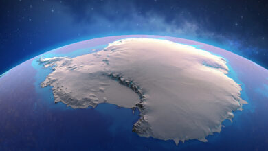 Cientistas brasileiros descobrem o que está aquecendo a Antártica