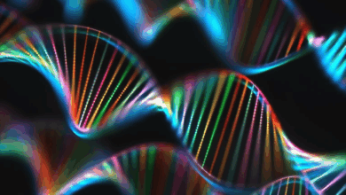 Cientistas criam “quimioterapia programável” que destrói DNA do câncer