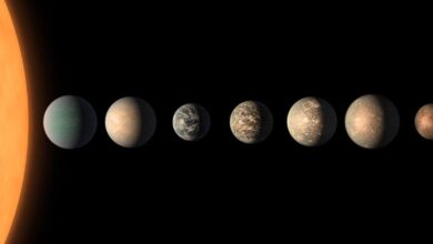 Cientistas fazem descoberta importante sobre vida fora da Terra