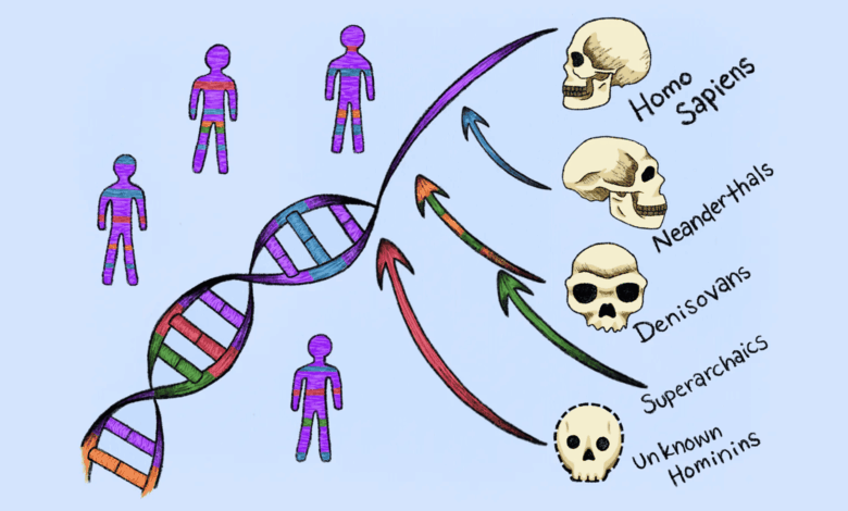 Cientistas identificam linhagens “fantasma” que deixaram DNA no genoma humano