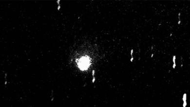 Cometa descoberto em 1873 terá melhor passagem em décadas; saiba como observar