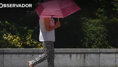 DGS divulga recomendações de proteção das temperaturas altas
