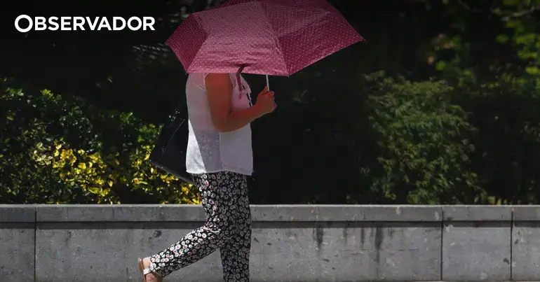 DGS divulga recomendações de proteção das temperaturas altas