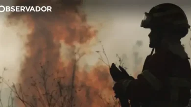 Detido por causar fogo florestal durante ceifa