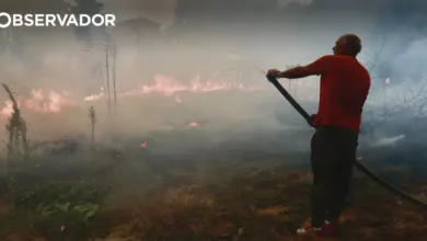 Detido suspeito de atear fogo em Estarreja