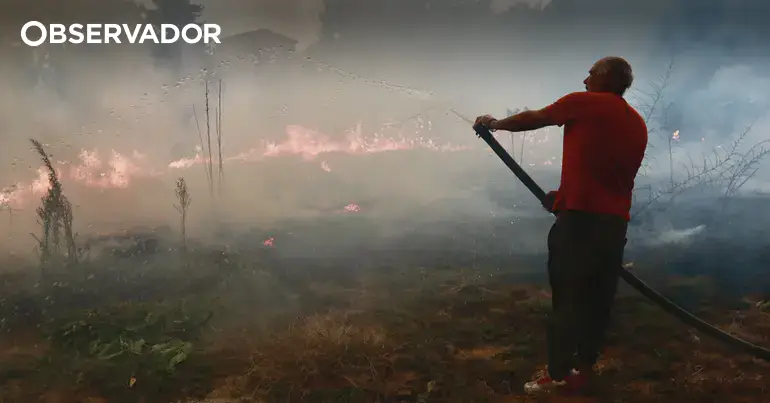 Detido suspeito de atear fogo em Estarreja