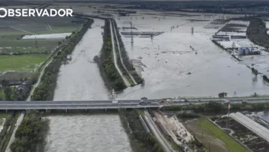 Diques do Mondego ruíram por falha nos órgãos de proteção