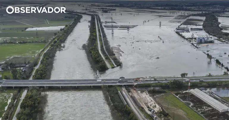 Diques do Mondego ruíram por falha nos órgãos de proteção