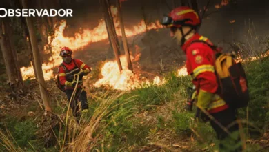 Dois feridos em Vouzela, incêndio de Setúbal dominado