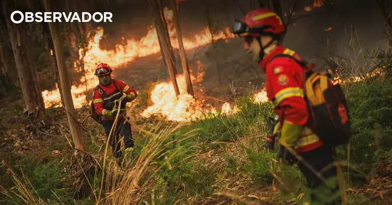 Dois feridos em Vouzela, incêndio de Setúbal dominado