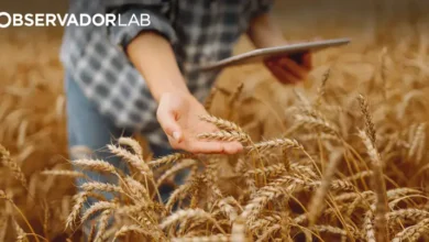 E se o futuro dos jovens fosse a agricultura?