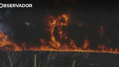 EM611 cortada por incêndio em Alfândega da Fé