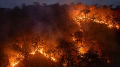 El Niño acende alerta: Brasil está preparado para enfrentar outra temporada de queimadas?