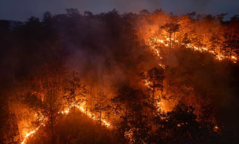 El Niño acende alerta: Brasil está preparado para enfrentar outra temporada de queimadas?