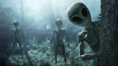 Encontramos extraterrestres. E agora? Cientistas definem “manual alienígena”