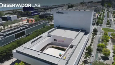 Este verão celebre ciência e tecnologia pelo país