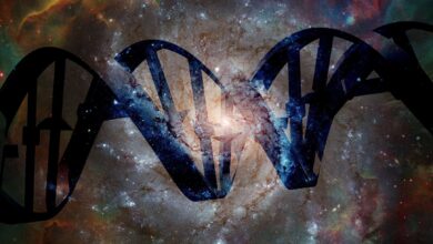 Estudante revela nova forma de detectar civilizações alienígenas