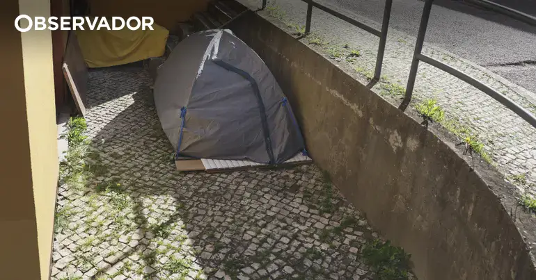 Executadas mais de 50% das medidas para sem-abrigo até 2030